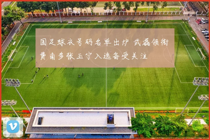 国足球衣号码名单出炉 武磊领衔 费南多张玉宁入选备受关注