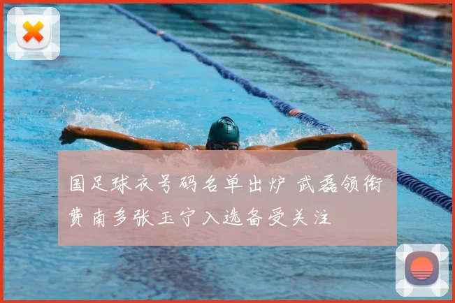 国足球衣号码名单出炉 武磊领衔 费南多张玉宁入选备受关注
