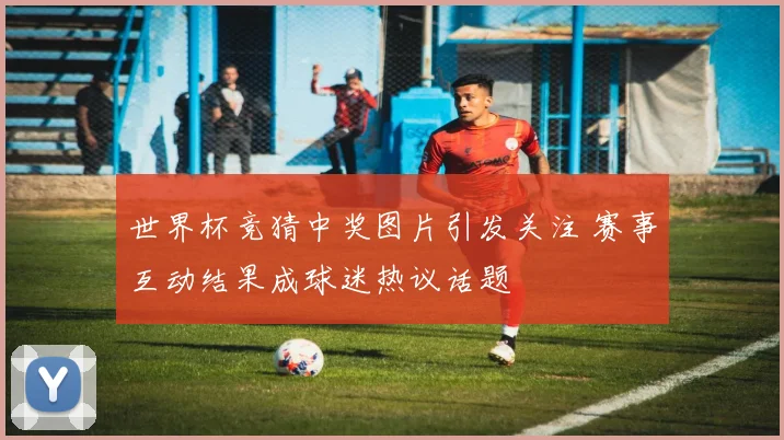 世界杯竞猜中奖图片引发关注 赛事互动结果成球迷热议话题