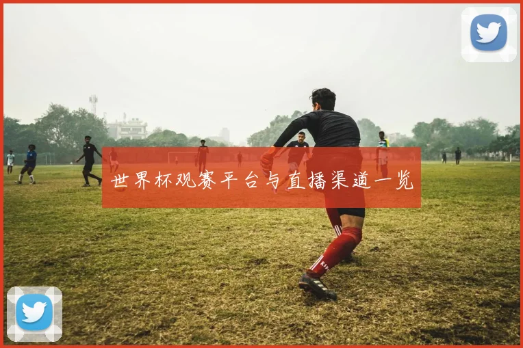 世界杯观赛平台与直播渠道一览